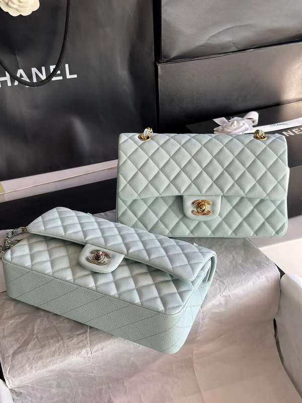 CNL2 zarlay 556