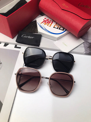 Zarlay  - Latest - 5746