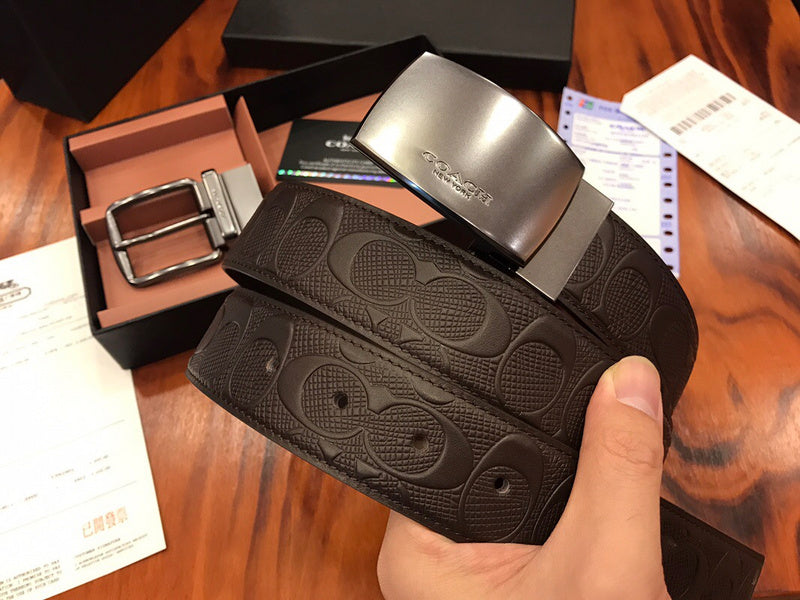 Zarlay  - Latest - 10913