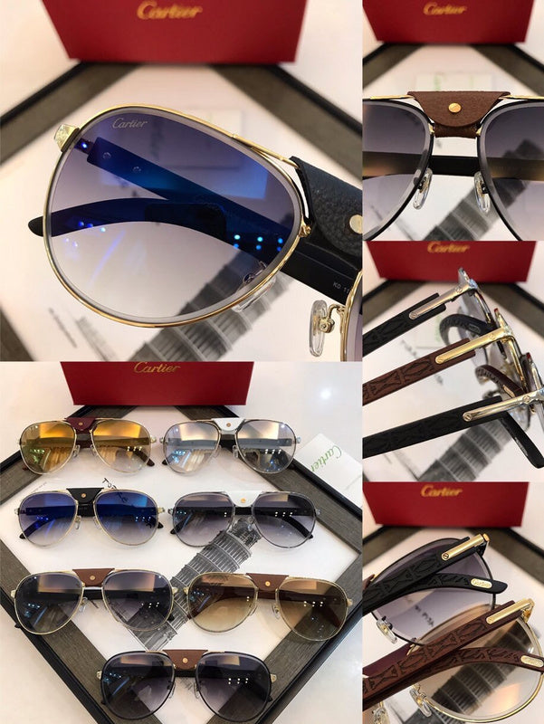 Zarlay  - Latest - 5864