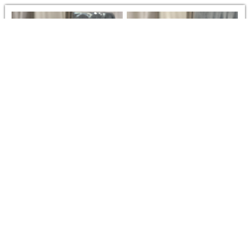 Zal Collections - SLY Bags - 763