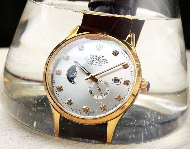 Zarlay  - Latest - 11156