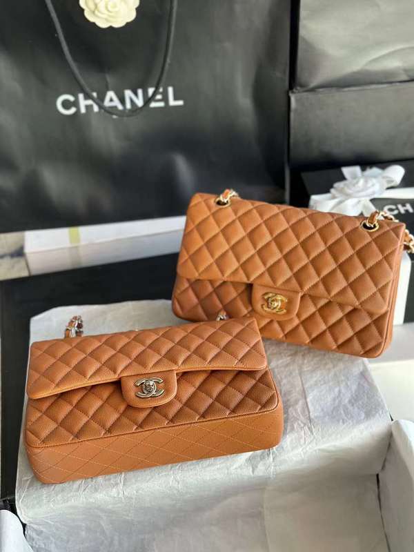CNL2 zarlay 557