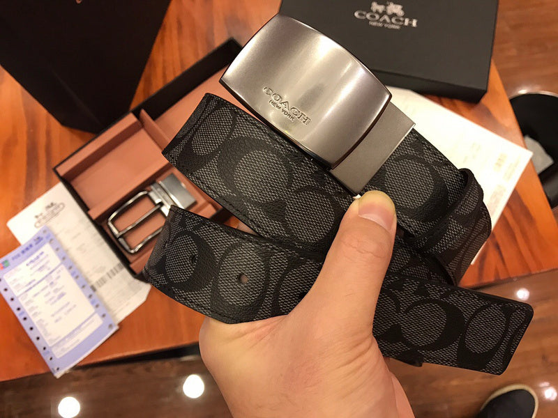 Zarlay  - Latest - 10911