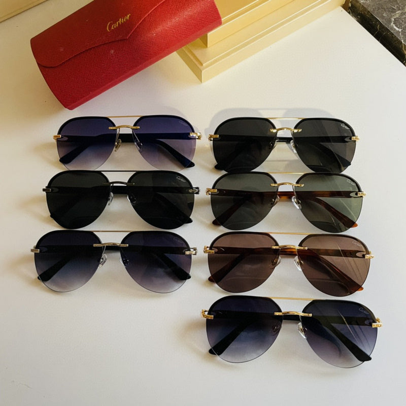 Zarlay  - Latest - 5811