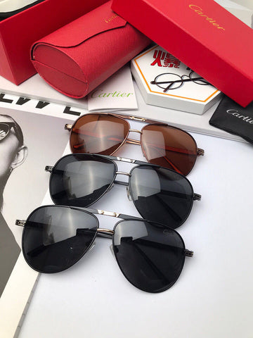 Zarlay  - Latest - 5700