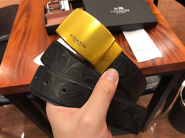 Zarlay  - Latest - 10902