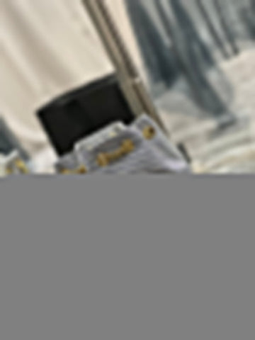 Zal Collections - SLY Bags - 2121