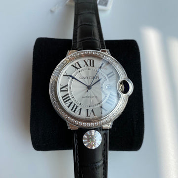 Zarlay  - Latest - 11272