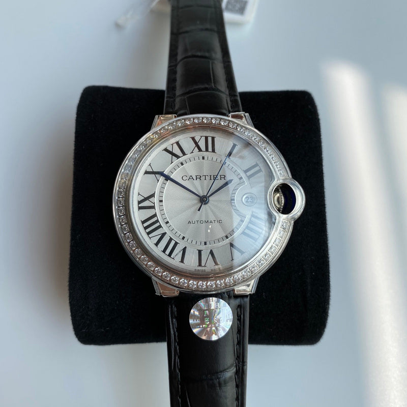 Zarlay  - Latest - 11272