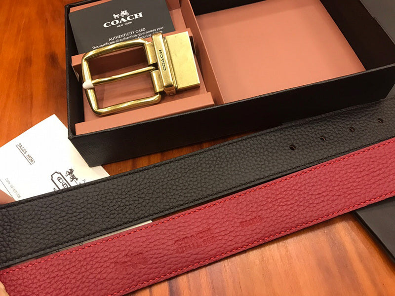 Zarlay  - Latest - 10908