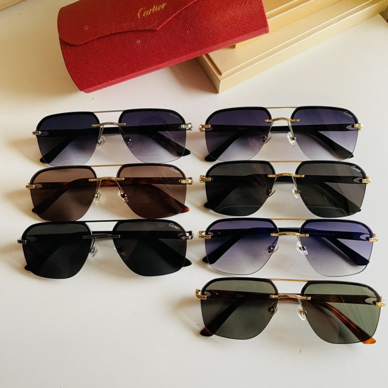 Zarlay  - Latest - 5805