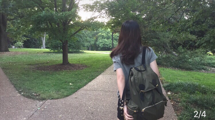 ZALL - Latest - 3381