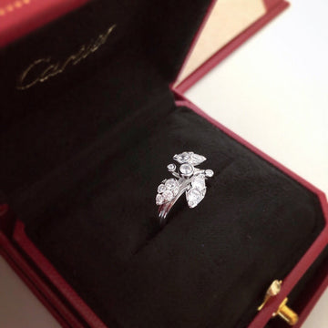 Zarlay  - Latest - 5532