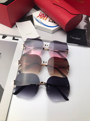 Zarlay  - Latest - 5682