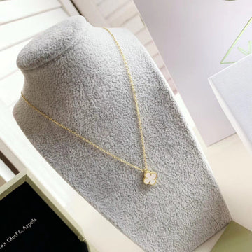 Zarlay  - Latest - 5495