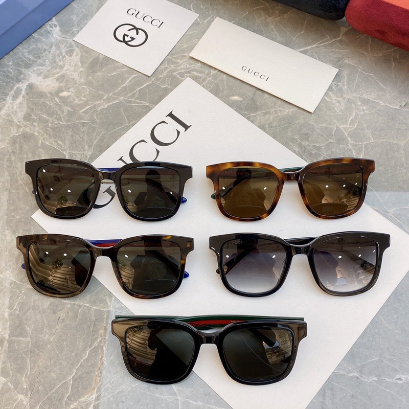 Zarlay  - Latest - 5816