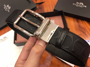 Zarlay  - Latest - 10905